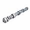 Mitsubishi Fuso FK FK617 1995-10/1997 Camshaft